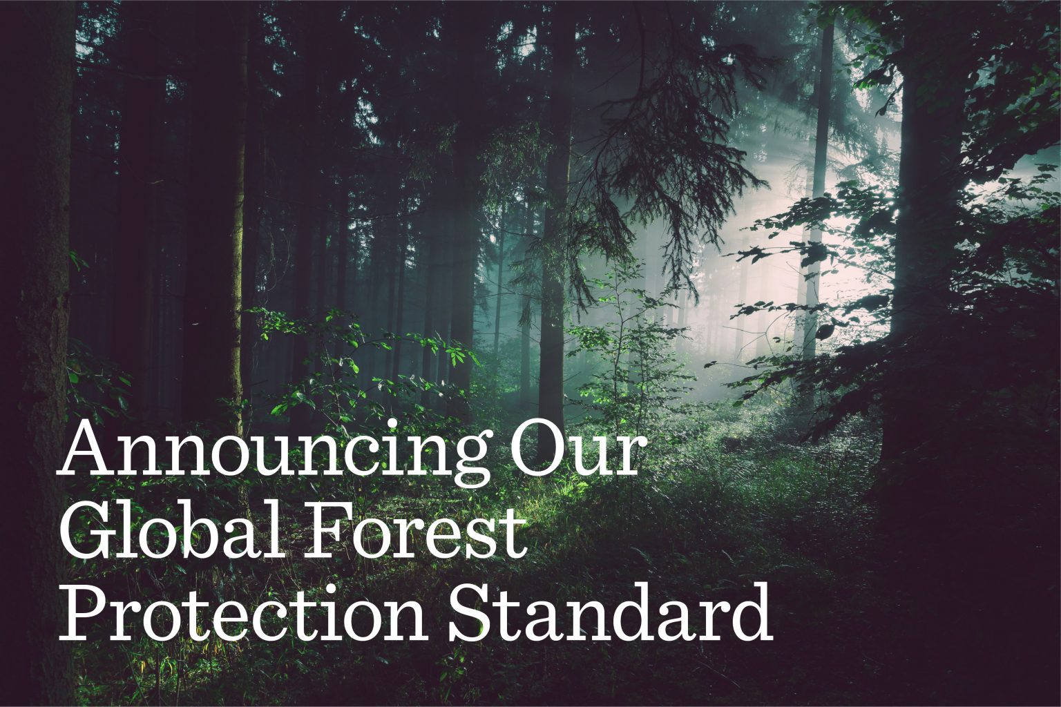 Bringing Deforestation Solutions to the Table | Tyson Foods