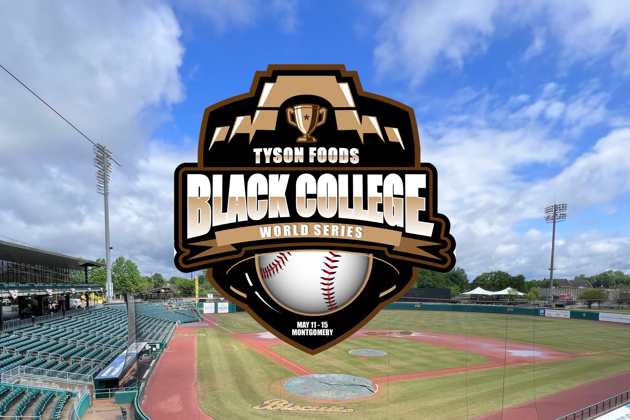 Lions Baseball Accepts Invitation To 2022 Black College World
