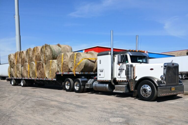 Truck delivering hay bales for disaster relief.